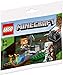 LEGO Minecraft The Skeleton Defense 30394 Polybag