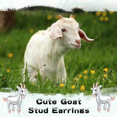 Goat Stud Earrings for Womens 925 Sterling Silver Hypoallergenic Farm Goat Earring Goat Jewelry Animal Jewelry Gifts for Women3