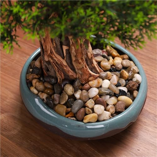 Pino bonsai artificial para decorar zonas interiores sin luz 5