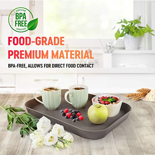 Mueller Reversible Serving Tray, European Made Platter, 2In1, Rectangular Non-Slip Tray, Shatter-Proof, Non-Toxic, For Coffee Table, Kitchen, Outdoors, Dishwasher Safe, Gray #TOP1