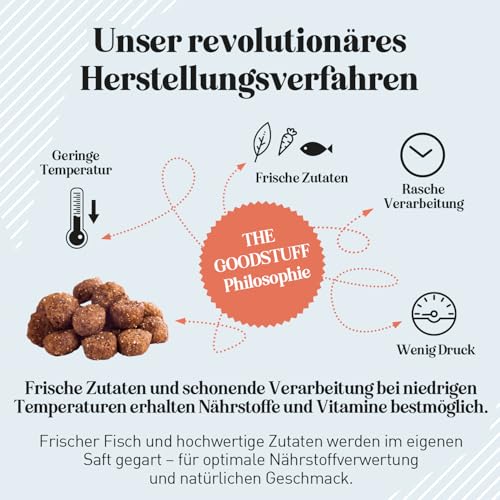 THE GOODSTUFF Lachs (Puppy/Junior) 2,5 kg | Getreidefreies Hunde Trockenfutter Junior | Mit frischem Lachs | Hundetrockenfutter für Welpen & Junghunde | Ausgewogenes Super-Premium Welpen Trockenfutter