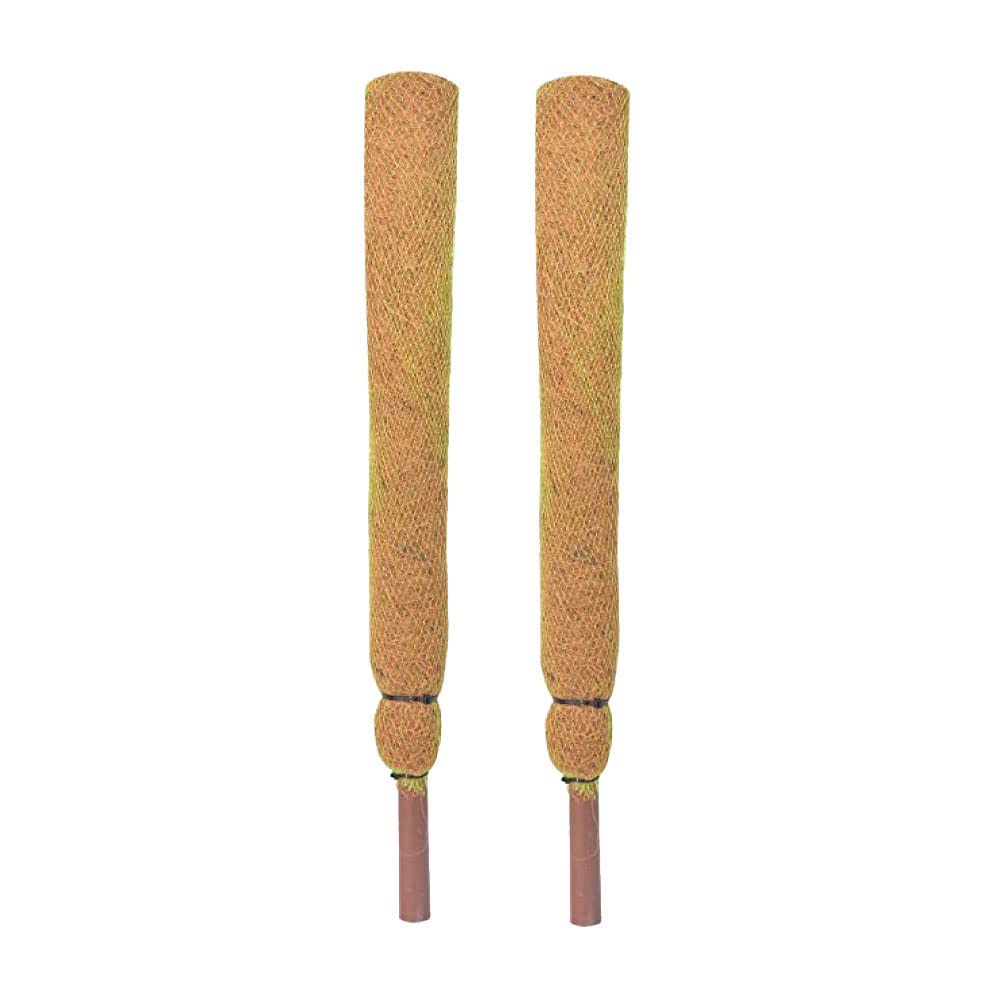 Nursery Coco Pole for Indoor/Money Plants, Plant Support Stick, 3 FT, Pack of 2 (B0CKCP83P5) Amazon Price History, Amazon Price Tracker