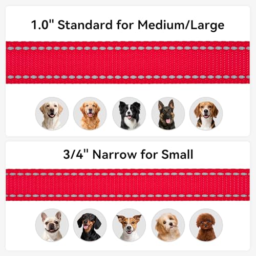 Joytale Hundeleine für Große und Mittelgroße Hunde, Doppelseitig Reflektierende Leine Hund aus Nylon mit Gepolstertem Griff, 1,8m x 2,5cm, Rot