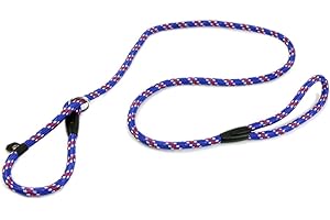 1CM Dog Whisperer Cesar Millan's Lead Collar for Effective Training and Obedience