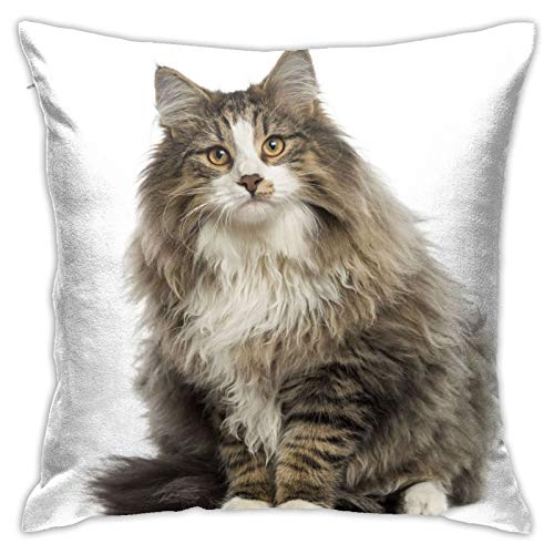 DADABULIU クッションカバー 45×45cm 抱き枕カバー 白 ノルウェージャンフォレストキャット 猫柄 ネコ 見る 柔らかい かわいい おしゃれ ソファ背当て 部屋雑貨 家庭用 オフィス ホテル用 車用 座布団カバー インテリア飾り