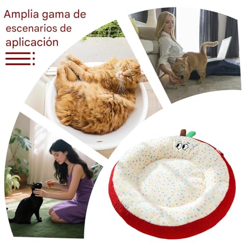 Camas de perro acolchadas para cachorros y animales de compañía 6