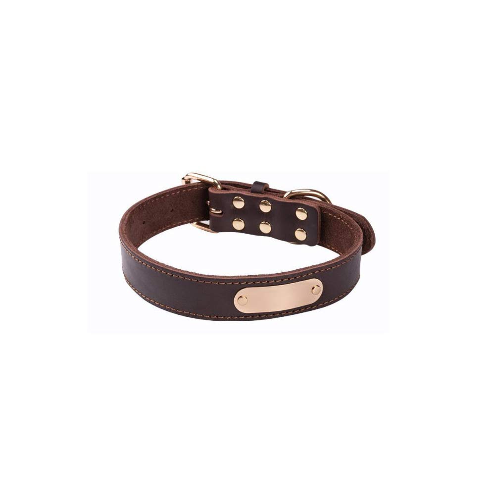 Collier pour chien réglable REYG pour les balades quotidiennes du chiot Golden