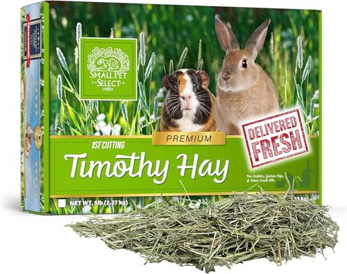 Image of Small Pet Select 1st Cutting Timothy Hay, Animal Food for Guinea Pig, Rabbit, Hamster, Bunny, or Chinchilla, Natural Hay Grown in the USA, 5lb