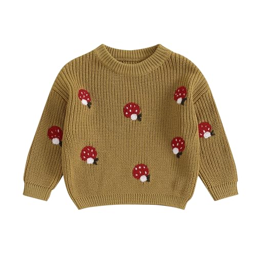 BemeyourBBs Toddler Knit Sweater for Fall/Winter