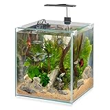 Hydor Aquarium 30L Aquarium Complet: Lampe LED à Intensité Variable, 3 Modes (Jour, Nuit et Mixte), Filtre Interne Silencieux et Chauffage, 30 x 30 x 50 cm