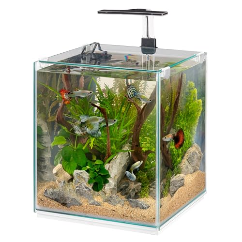 Hydor Aquarium 30L Aquarium Complet: Lampe LED à Intensité Variable, 3 Modes (Jour, Nuit et Mixte), Filtre Interne Silencieux et Chauffage, 30 x 30 x 50 cm