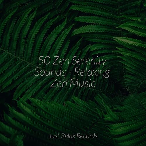 Amazon Music Study Music & Soundsの50 Zen Serenity Sounds Relaxing