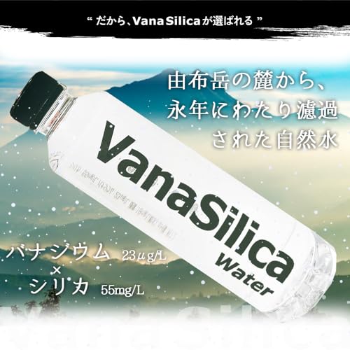 VanaSilica バナシリカウォーター 550ml 24本