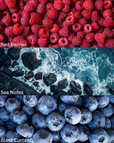 Image of TOXICMALE bombshell + Light blue intense Perfect Long lasting Women's perfume for office & Daily use| perfumes for Women | Gift for her | TMA03 | 50 ml perfume | TM Perfume House