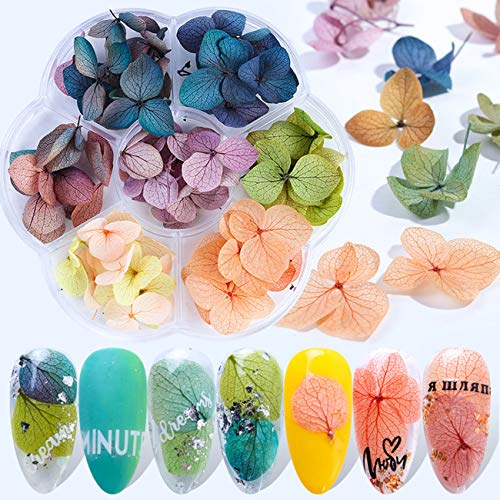 Beiling BEILING-00058 Dried Flower Nail Art Mini Natural Flowers Nail Art Decoration Accessories 3D Dry Flowers Nail Stickers cover