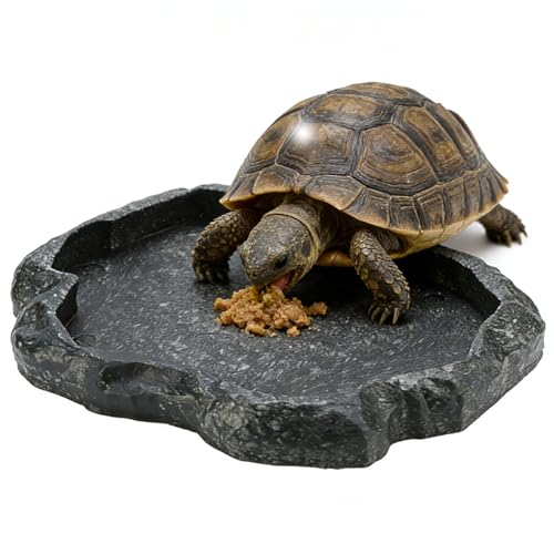 Tortoise Water Bowl - Reptile Water Food Dish Medium - Shallow Rock Reptile Feeder - Pet Aquarium Ornament Terrarium Dish Plate for Feeding Water Tortoise Lizard 7.1 * 5.5 * 0.8in