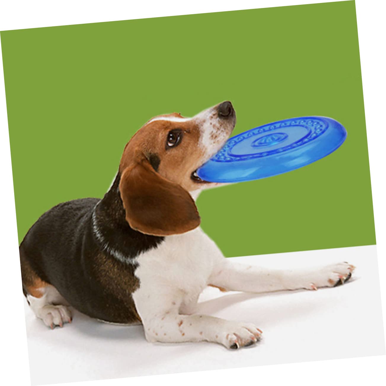 Didiseaon Giocattolo per Cani a Disco da Lancio 2pezzi Tpr Blu | Set da 2, Forma Disco, Adatto a Pet e Cuccioli, Morbidezza Elevata, Uso All'aperto