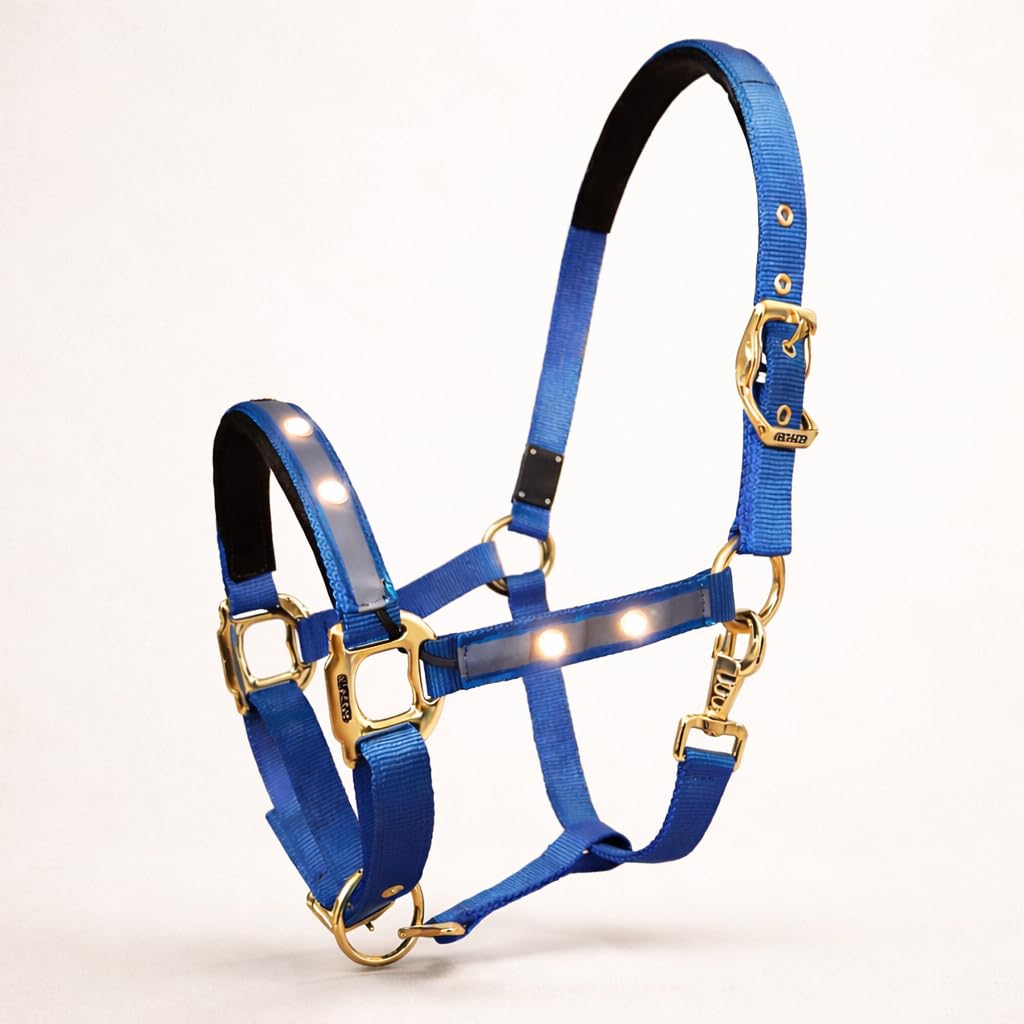 Cavezza luminosa di alta qualità per stalla, con LED, in nylon, colore: blu (blu e oro)