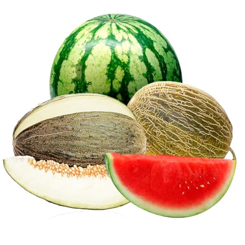 Caja 1 sandía rayada y 2 melones piel de sapo | Comprar sandía rayada 6kg y melones piel de sapo 2,70kg cada pieza. Fruta directa del agricultor de Castellón (España)