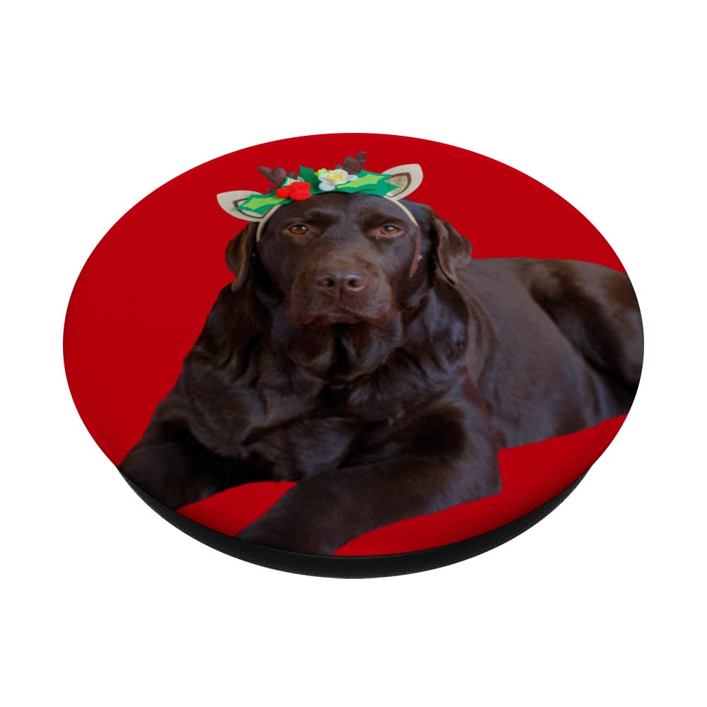 Chocolate Lab Shirt Cute Labrador Dog Image Funny Christmas PopSockets Swappable PopGrip, Black - Image 2