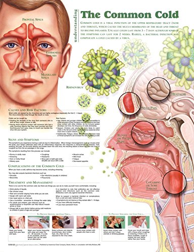 Understanding the Common Cold Chart