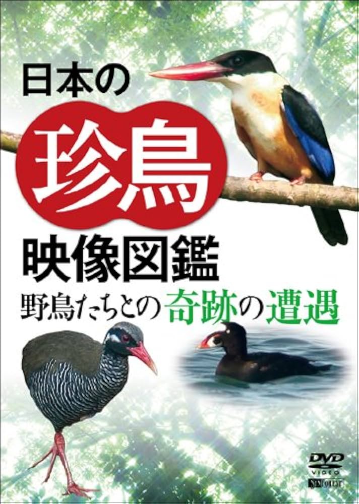 Amazon.co.jp: シンフォレストDVD 日本の珍鳥 映像図鑑 野鳥たち