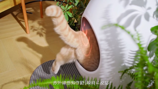 Amazon | 【インテリアに馴染む】猫トイレ 大型 プランター型 自動消臭