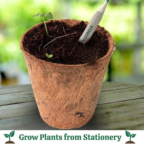 Image of Bombay Greens - 40 Plantable Seed Pencils - Bio degradable Eco-Friendly Stationery for Corporate Gifting | Sustainable Gifts with Seeds - Pack of 40
