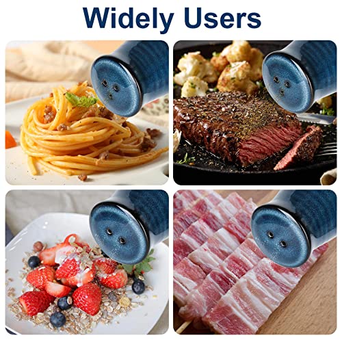 Hasense Cermaic Salt And Pepper Shakers,Navy Farmhouse Salt Shaker Set Of 2, Vintage Spice Shaker For Compact Cooking,Travel, Bbq, Kitchen And Resturant Decor #TOP1