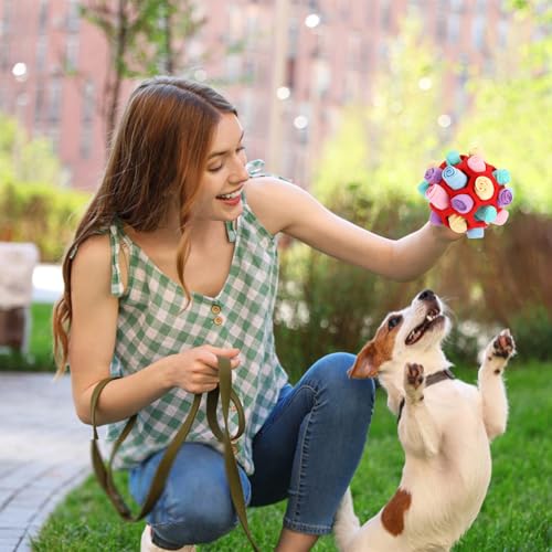 Gowkeey Schnüffelball für Hunde Interaktives Hundespielzeug Schnüffelteppich Schnüffelspielzeug Schnüffelspielzeug Hund, Sniffle Leckerli für Kleine Mittelgroße Hunde Haustier