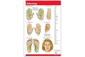Permacharts Meridian Acu-Reflexology Chart
