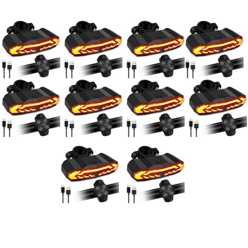 NineLeaf Fahrrad Alarmanlage, smarte Alarmanlage Motorrad, drahtlose Fernbedienung für E-Bikes, Roller, Motorräder, Vibration Sensor, 110dB, IP65 wasserdicht, USB-C,10PK