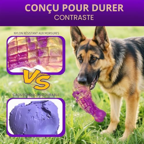 Jouets en nylon durable pour grands chiens, pack de 3