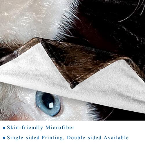 Couverture en peluche chaton blanc : plaid microfibre doux TBOUOBT - 3