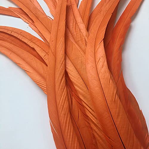 Sowder Orange Rooster Coque Tail Feathers 16-18inch Lengh Pack of 20 - Image 2