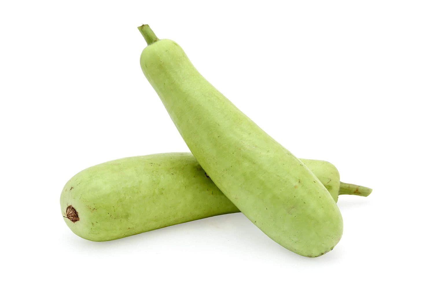 PLANTOGALLERY Vegetable Seeds |Bottle Gourd Long Vegetable Seeds For Gardening (50gm Pack) (B09B2KJH2P) Amazon Price History, Amazon Price Tracker