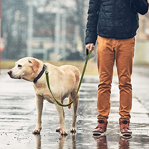 Fida Robuste Hundeleine mit 2 bequemen gepolsterten Griffen, Verkehrsgriff und fortschrittlichem Karabinerhaken, reflektierende Hundeleine für große, mittelgroße und kleine Rassen, 1,8 m, Grün