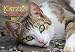 Produktbild DuMonts Katzenkalender 2017 - Broschürenkalender - Wandkalender - mit Schulferienterminen - Format 42 x 29 cm: mit kurzweiligen Katzengeschichten