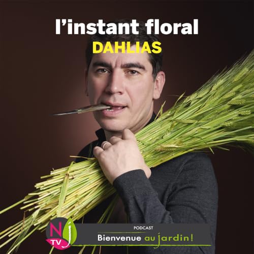 #81: L&rsquo;INSTANT FLORAL : DAHLIAS FLEURS FRAGILES