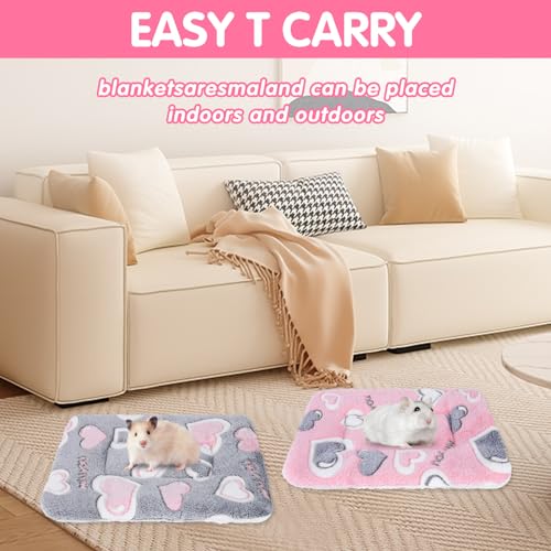 Gukasxi 2 Stück Plüschbett für Kleine Tiere, Kleintierbett Kleintier Plüschbett Winter Warm Flauschige Bettmatte für Meerschweinchen, Hamster, Kätzchen