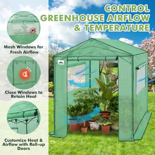 Image of EAGLE PEAK 8x6 Pop Up Walk in Greenhouse, Easy Setup, Gable Roof, Green