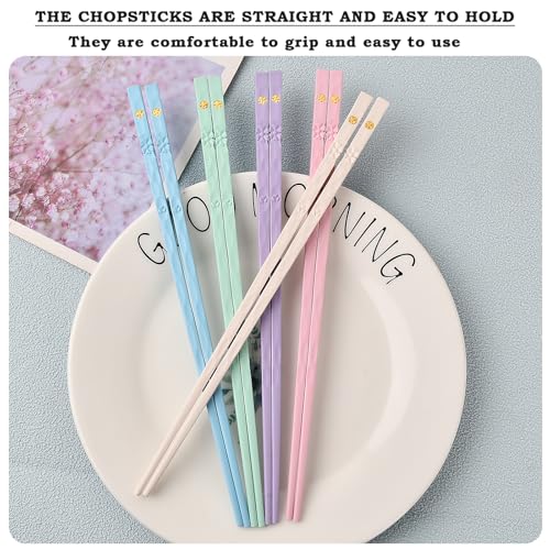 10 Paia Bacchette, Lavabili in Lavastoviglie con Motivo per Incisione, Bacchette Cinesi, Adatte per Pasta, Riso, Sushi, Set Regalo - immagine 6