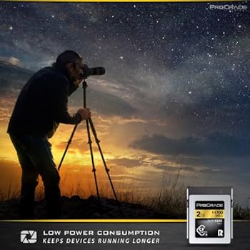 【もえ】ProGrade 512GB CFexpress 2枚 41gd1BuFmZL.__AC_SR150,300___.jpg