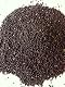 Natur-shop24 Rapssamen
