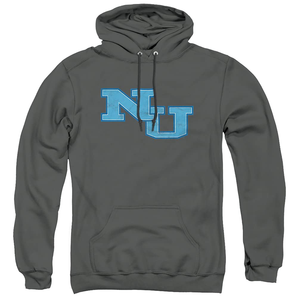 LOGOVISION Official Collegiate Distressed Primary Logo Adult Pullover Hoodie Collection — view 281