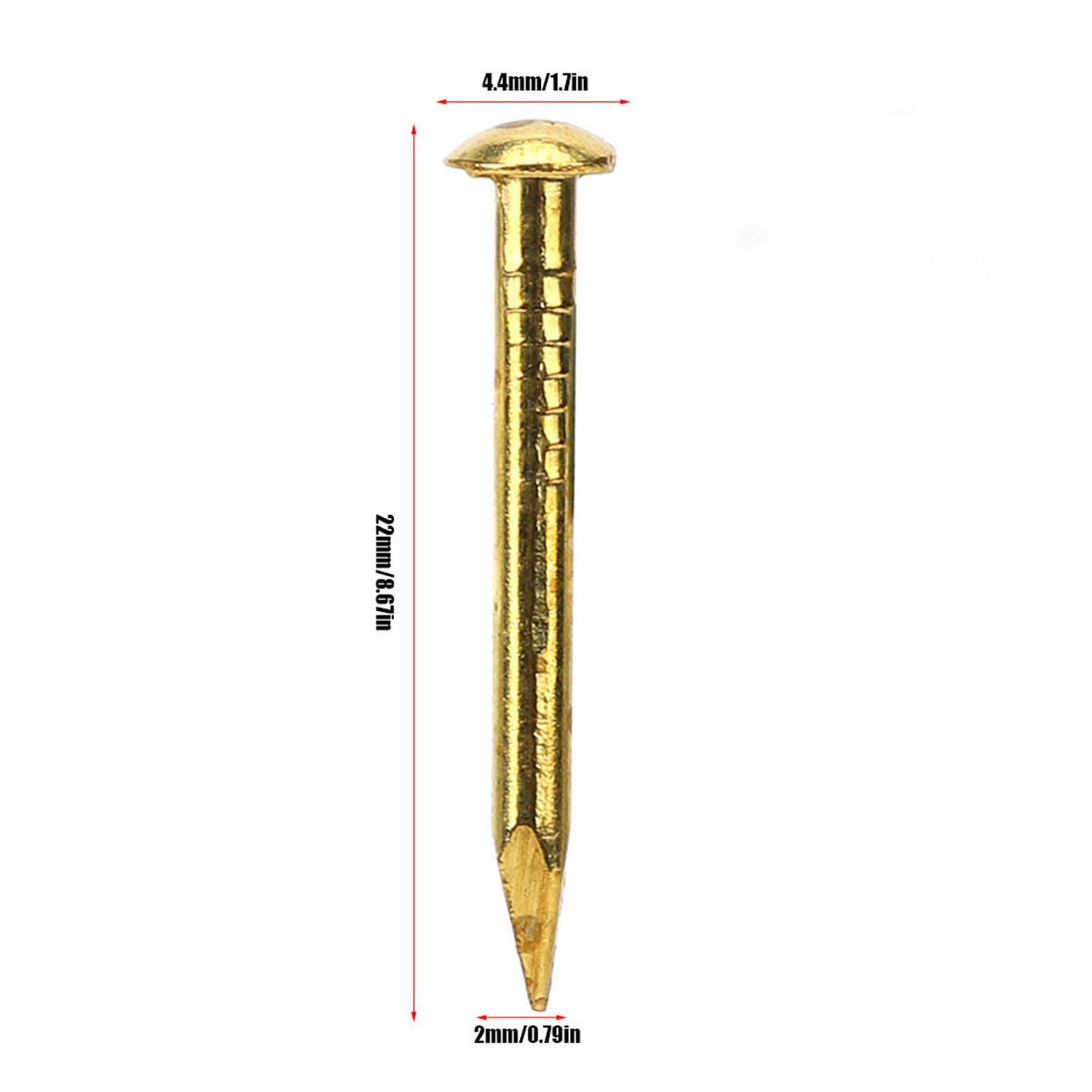 Gold Brass Nails - 100PCS Hardware Kit -4