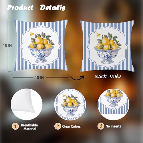Image of Chinoiserie Lemon Summer Pillow Cover 18x18,French Country Lemon Home Decor,Farmhouse Blue and White Striped Fruit Botanical Decorative Lumber Throw Pillow Cover for Home Bedroom Living Room