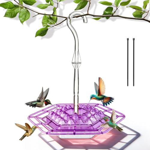 Hummingbird Feeder for Outdoors Bee-Proof & Leak-Proof - 30 Feeding Ports Saucer Style, Drip-Free, Easy to Clean and Refill, Attract Humming Birds Feeder Plastic with Ant Moat & Hook (1 Pcs, Purple)