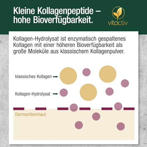 VITACTIV Collagen Pulver 300g - Kollagen Hydrolysat, Typ 1 & 3 Peptide - 19 essenzielle Aminosäuren - Hohe Bioverfügbarkeit, ohne Zusätze, Geschmacksneutral - Laborgeprüft in Deutschland