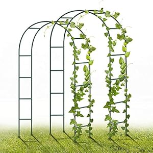 YAOBLUESEA Tuinboog Metaal, 2-Set 240 x 140 x 38 cm tuinbogen voor verjaardagen, bruiloften en evenementen (groen)